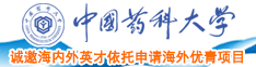 嗯公交车上啪啪流水中国药科大学诚邀海内外英才依托申请海外优青项目